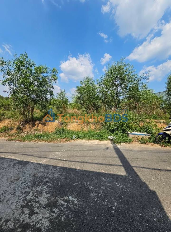 Bán Gấp Đất Vàng 160m² Mặt Tiền Nhựa Tân Uyên, Bình Dương - Giá Hời 4.2 Tỷ