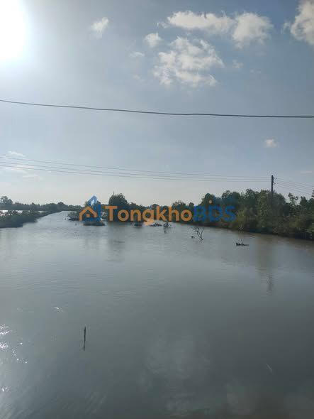 Cho Thuê Đất Vườn 9400m² Tỉnh Cà Mau - Giá Tốt 450 Triệu/5 Năm