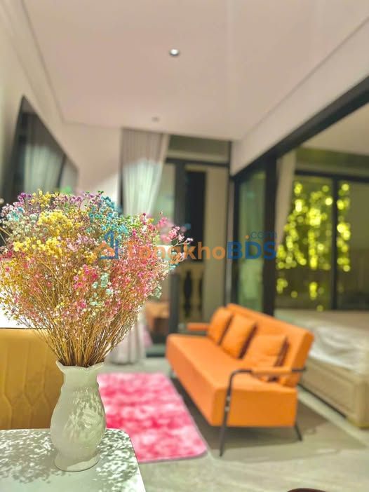 Cho thuê Căn hộ 1PN Ha Quang 2, Nha Trang - 50m², Full nội thất cao cấp, View đẹp