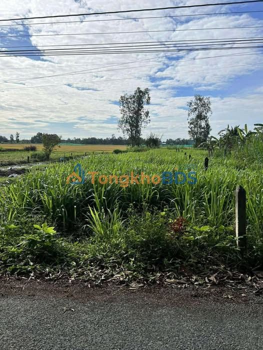 Mặt Tiền Trương Vĩnh Ký, Sóc Trăng - 550m² Thổ Cư, Giá 650 Triệu