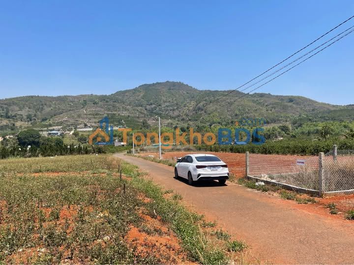 Đất Nền Liên Hiệp 110m² - View Săn Mây, Sổ Sẵn Sàng Sang Tên