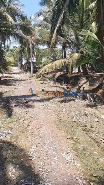 Đất Nền 1500m² Ấp Bình Long, Chợ Gạo - Sổ Đỏ Thổ Cư, Giá Tốt