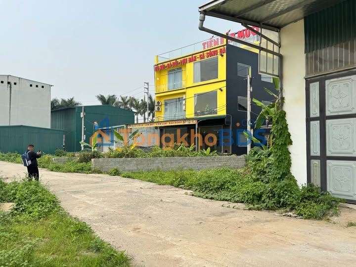 Đất Đấu Giá Hòa Xá 82.5m² - Kinh Doanh Sầm Uất, Sổ Đỏ Sẵn Sàng