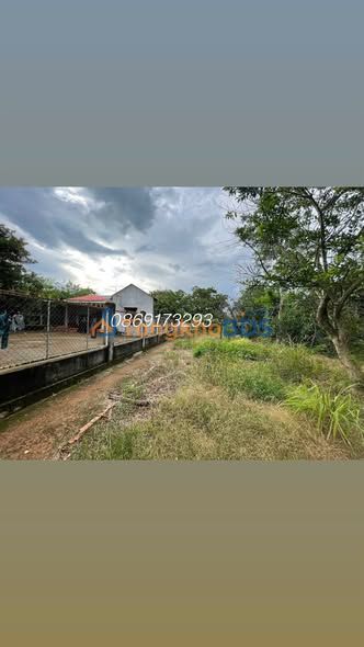 Đất thổ cư 400m² mặt tiền ĐT 741 Phú Riềng - Sổ đỏ sẵn sàng