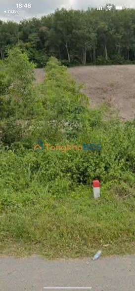 Đất Nền Dầu Tiếng 3400m² Mặt Tiền DT749A - Giá 1 Tỷ Tốt Nhất Đầu Tư