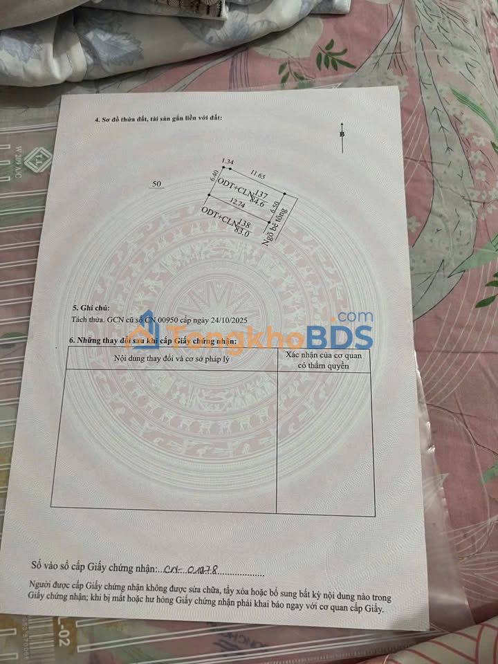 Đất thổ cư Thôn Đìa Tứ Minh 85m² 1 tỷ - Sổ đỏ chính chủ