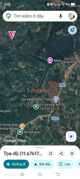 Đất Sổ Đỏ Phú Riềng 49m² - Đầu tư chỉ từ 100 triệu/lô