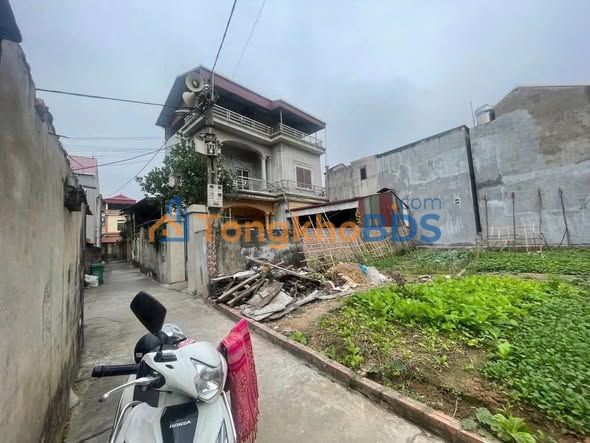 Đất Song Liễu 65m² - Trung Tâm Thuận Thành - Giá Hơn 2 Tỷ - Sổ Hồng Sẵn