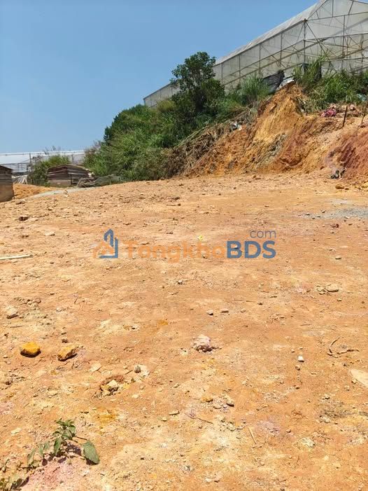 Đất Thổ Cư Đà Lạt 100m² - Sổ Hồng Sẵn Sàng - Giá Chỉ 890 Triệu