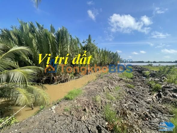 Đất Vườn Mặt Sông Cái Lớn An Biên, Kiên Giang - 1.517m² Giá Đầu Tư