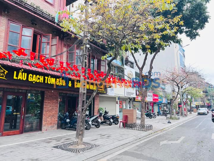 Đất mặt phố Yên Lãng 295m² - Sổ đỏ chính chủ hiếm có