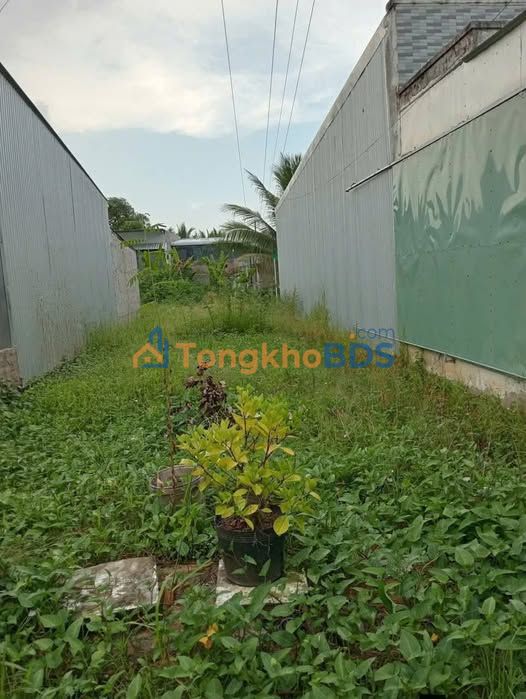 Đất nền Gò Quao 100m² giá 270 triệu - Tiềm năng tăng giá