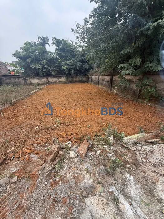 Đất nền Việt Yên 145m² - Sổ đỏ sẵn sàng, đầu tư sinh lời