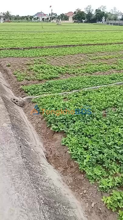 Đất nền 90m² TT Quất Lâm, Nam Định - Giá 1.3 tỷ, Sẵn Sổ Hồng