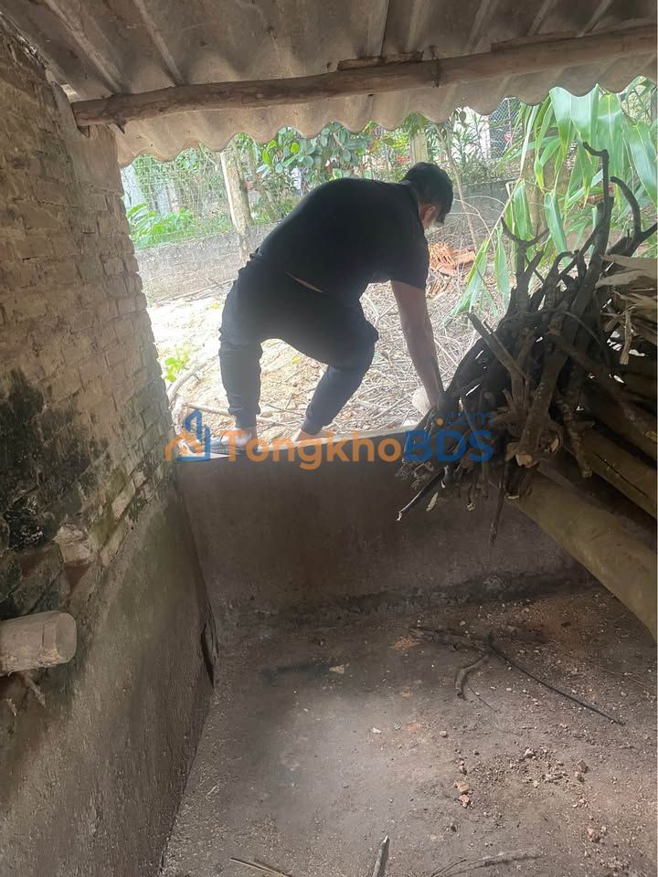 Bán Đất Trung Tâm Hương Sơn, Mỹ Đức 300m² - Sẵn Sàng Đầu Tư & An Cư