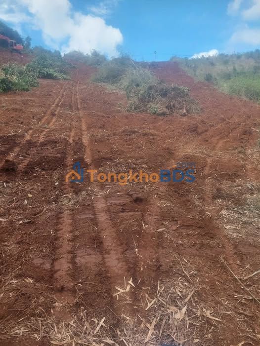 Đất Vườn Đam Rông - 2 Hecta Hơn 20,000m² Giá Chỉ 1.5 Tỷ