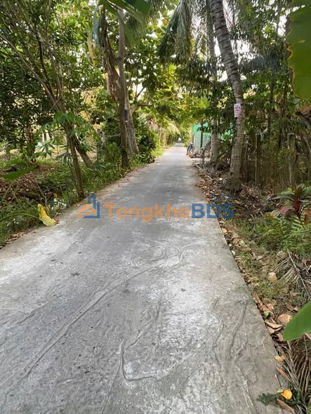 Đất vườn Quới Thành 4000m² 2.6 tỷ - Hạ tầng hoàn thiện