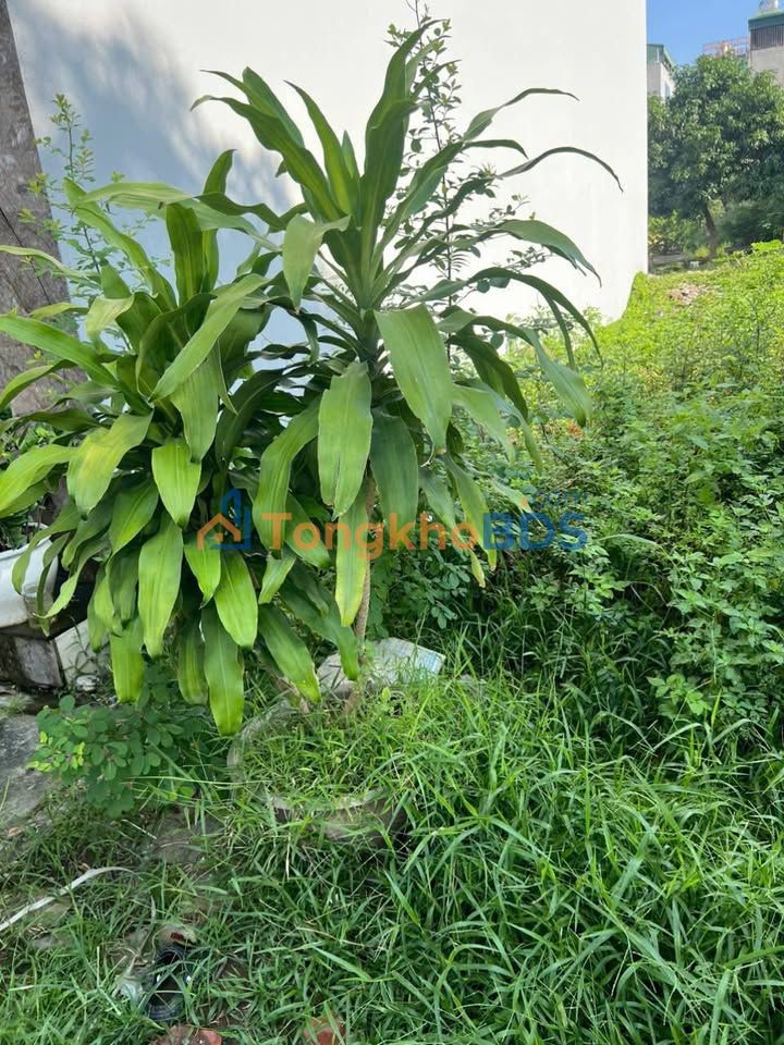 Đất nền Bến xe Mỹ Hào, Thái Bình - 70m² - Giá 5.2 Tỷ - Sổ đỏ sẵn