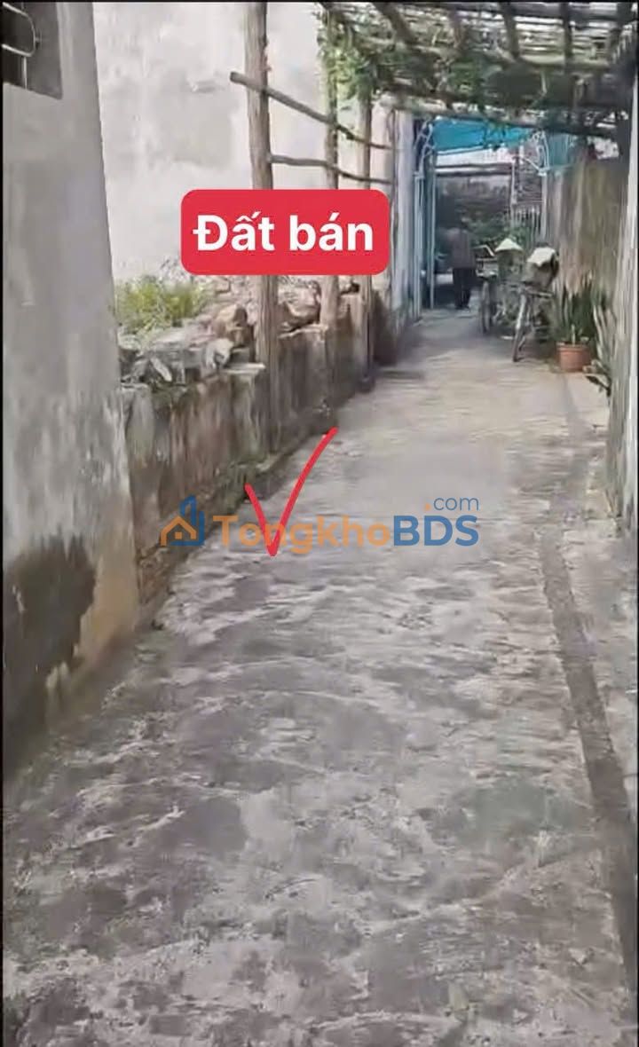 Bán đất 118m² Hoàng Mai - Ô tô vào tận đất, giá hơn 1.6 tỷ