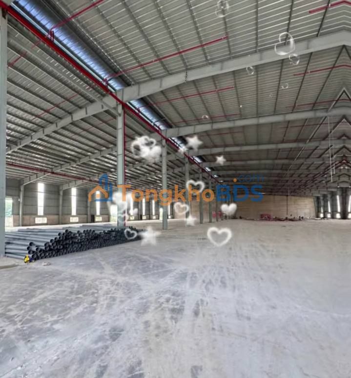 Cho thuê xưởng 33.000m² Bình Dương - Sẵn sàng hoạt động, giá tốt