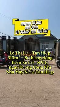 Nhà Biệt Thự Vườn 313m² Hóc Môn - Sổ Hồng Riêng, Xe Tải Vào Nhà