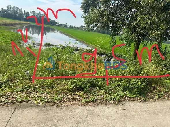 Bán Đất Nền 2413.5m² Xã Long Trị, Long Mỹ, Hậu Giang - Giá 650 Triệu