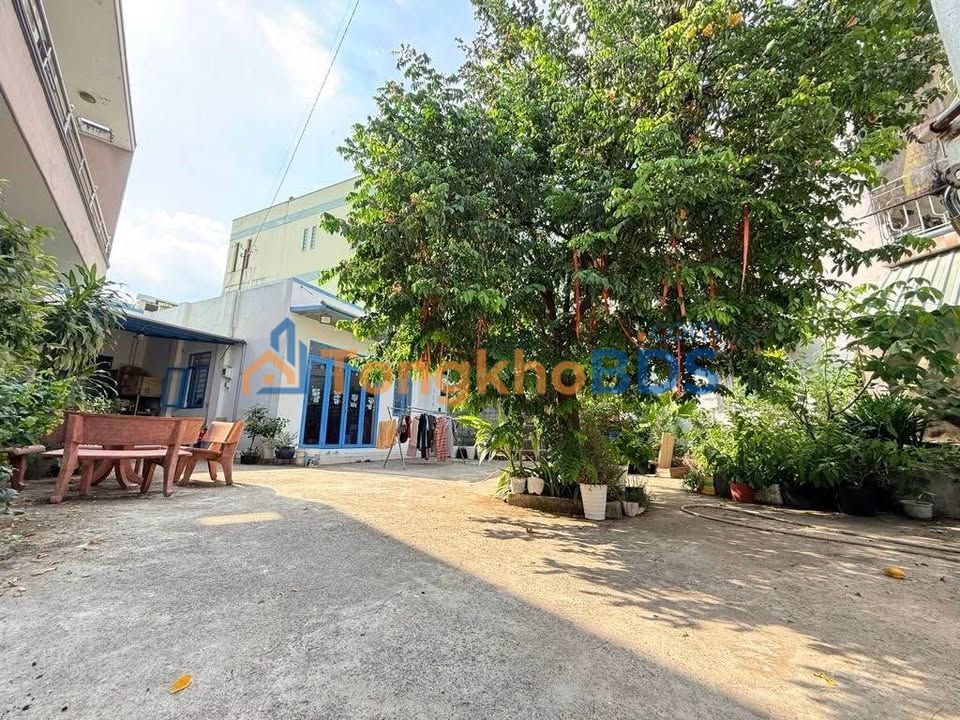 Đất Linh Xuân Thủ Đức 231m² 9.702 tỷ - Sổ đỏ chính chủ