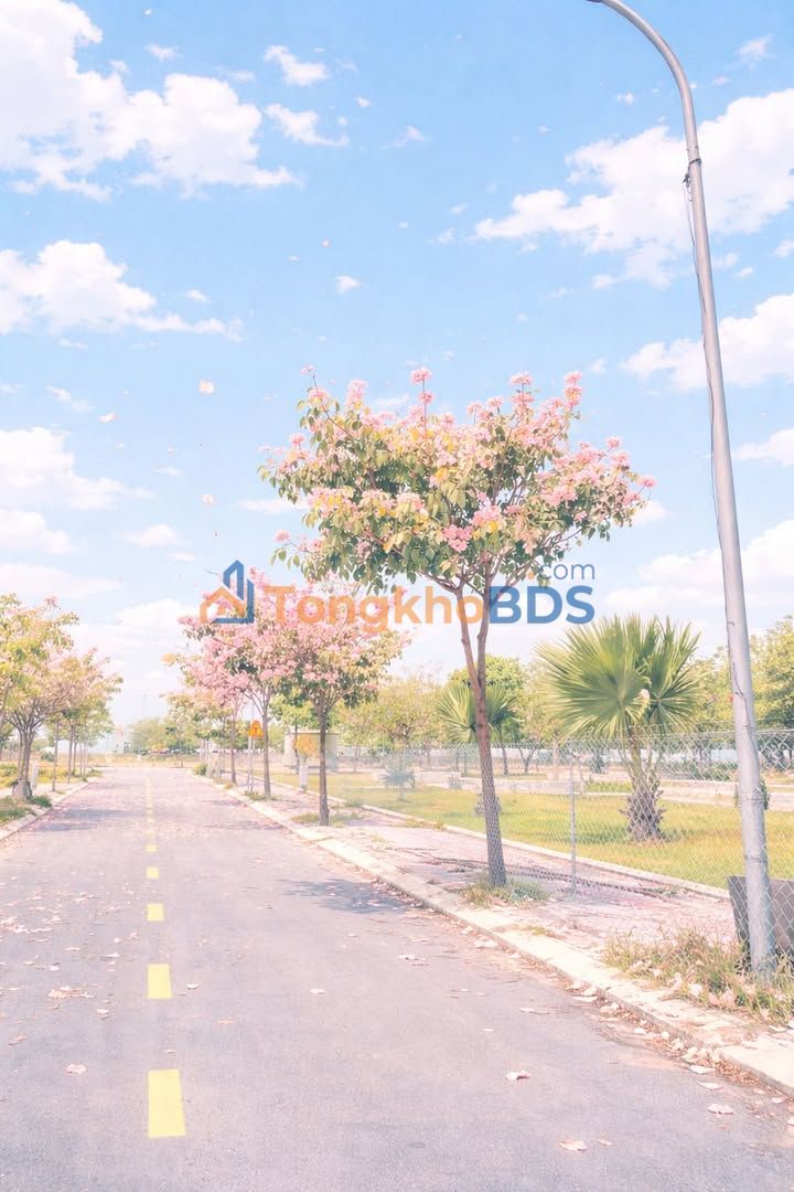 Đất Nền K2 Quốc Lộ 51, Ninh Thuận 80m² - Sổ Hồng Sẵn Sàng