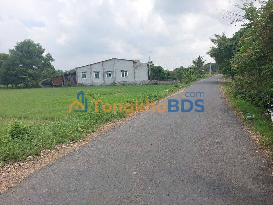 Đất nền Hiệp Thạnh Gò Dầu 530m² 1.1 tỷ - Sổ đỏ chính chủ