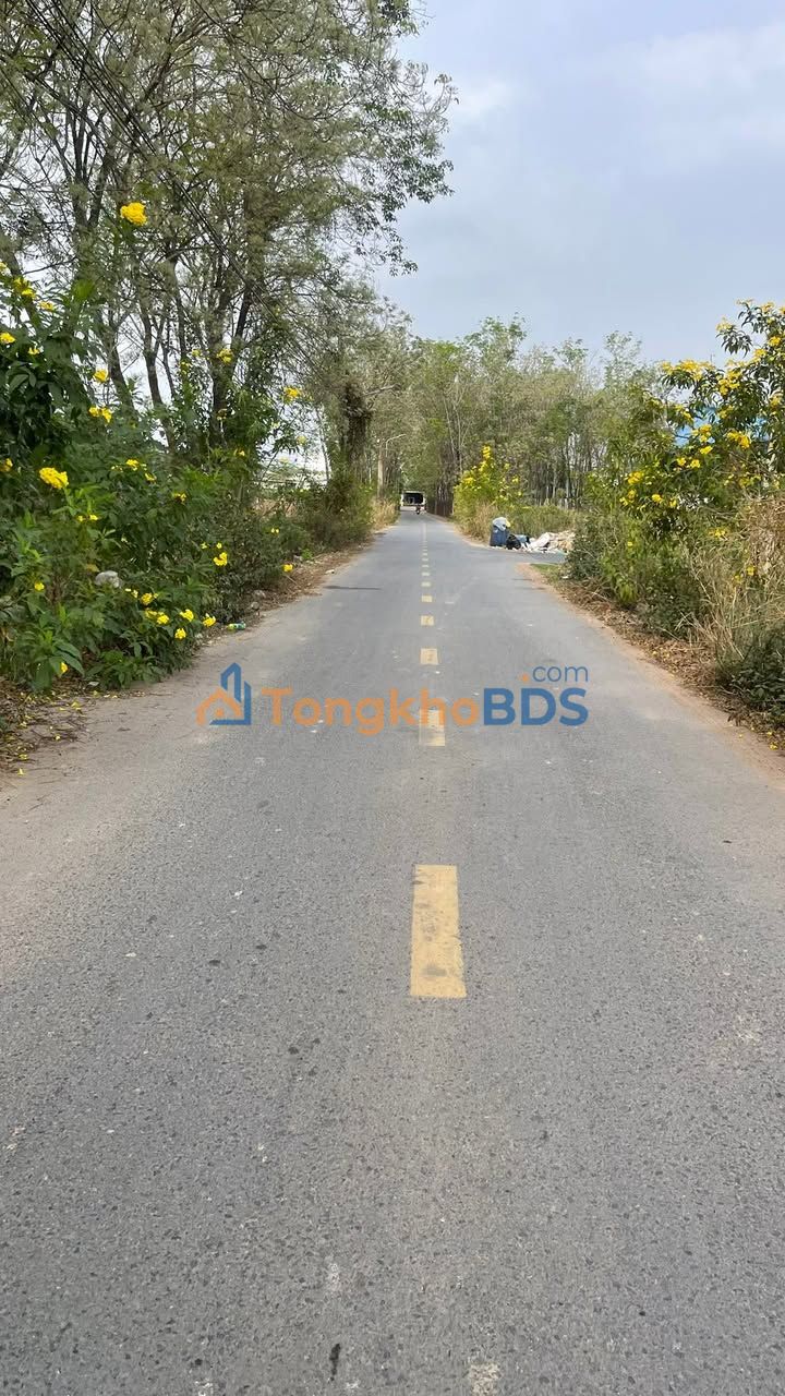 Đất nền Hòa Lợi 60m² 1 tỷ - Sổ đỏ chính chủ