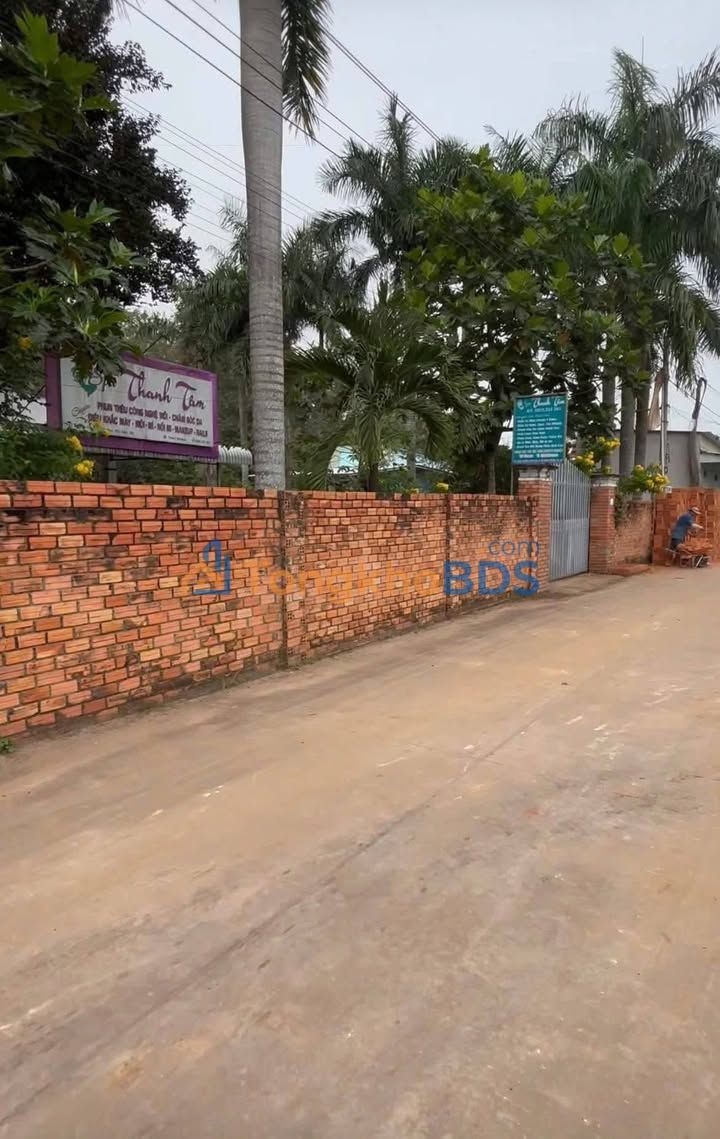 Đất Vĩnh Hòa - Phú Giáo 175m² TC100%, Sẵn Sổ Hồng - Giá 850 Triệu