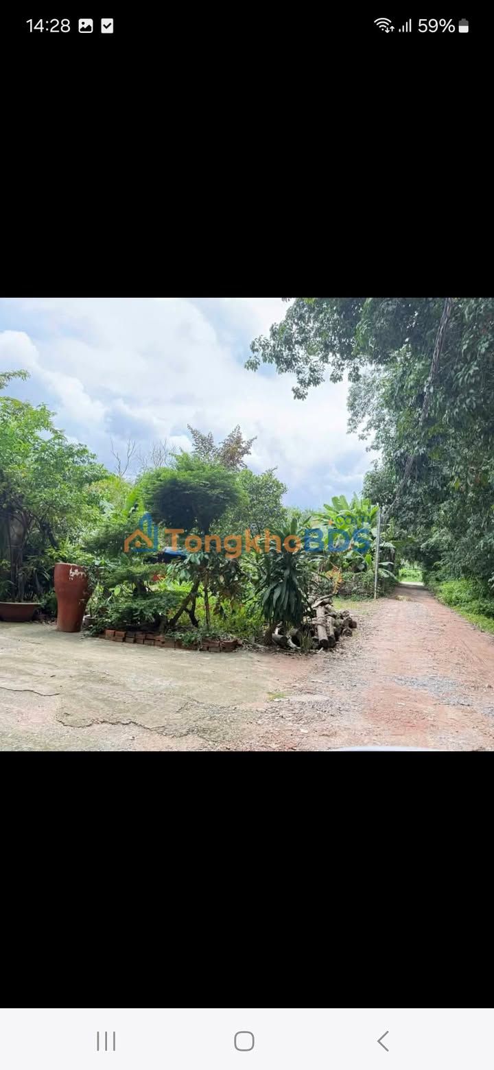 Đất nền Thới Hòa Bến Cát 420m² 2.2 tỷ - Sổ đỏ chính chủ