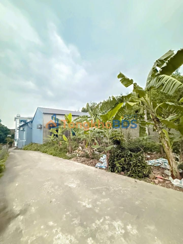 Đất thổ cư Việt Yên 134m² - Đường ô tô, gần KCN Yên Lư