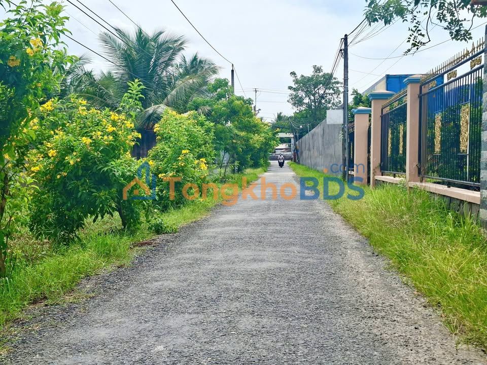 Đất nền Xã Long An Tiền Giang 1000m² 3.5 tỷ - Sổ đỏ chính chủ