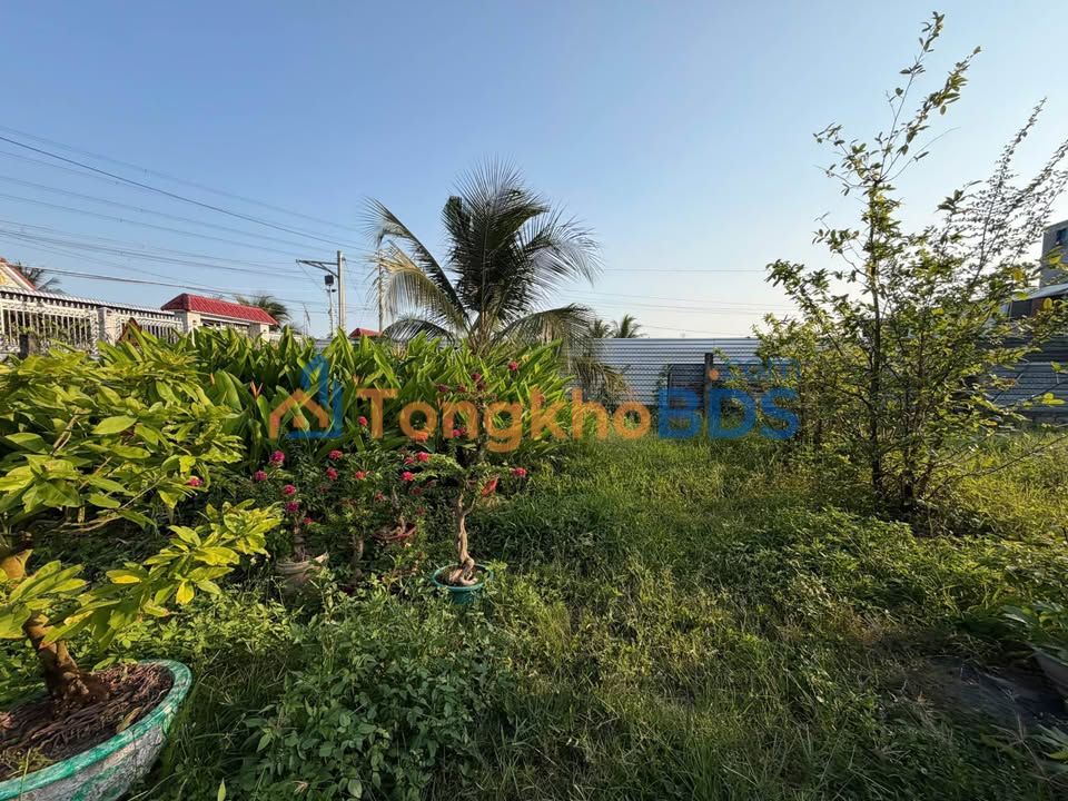 Bán Đất Ấp Tân Phong, Mỹ Tho - 295m² Hướng Đông Nam, Giá 1.15 Tỷ