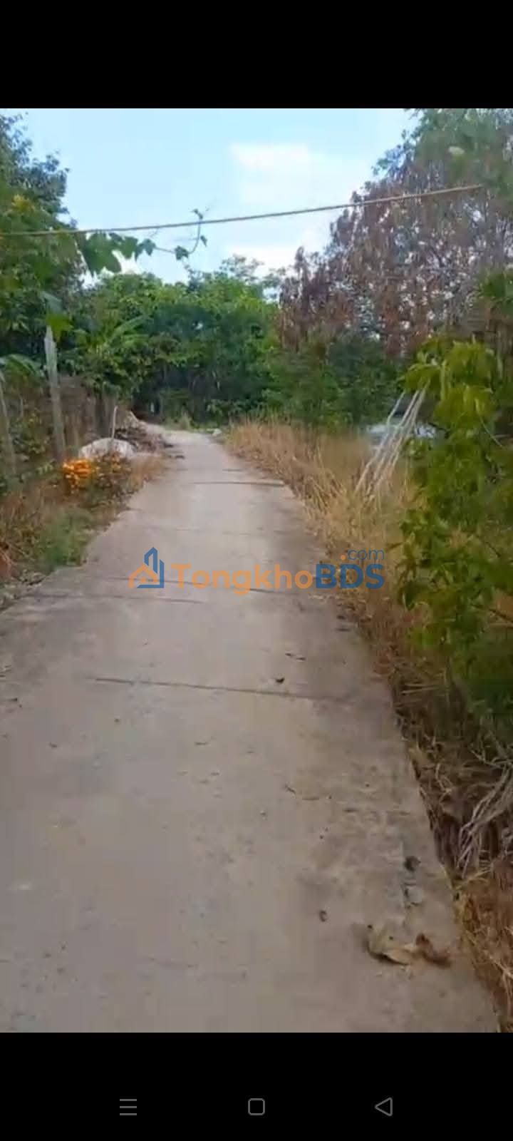 Bán đất vườn 4000m² Tiền Giang - 70 gốc sầu riêng Ri6 kinh doanh tốt