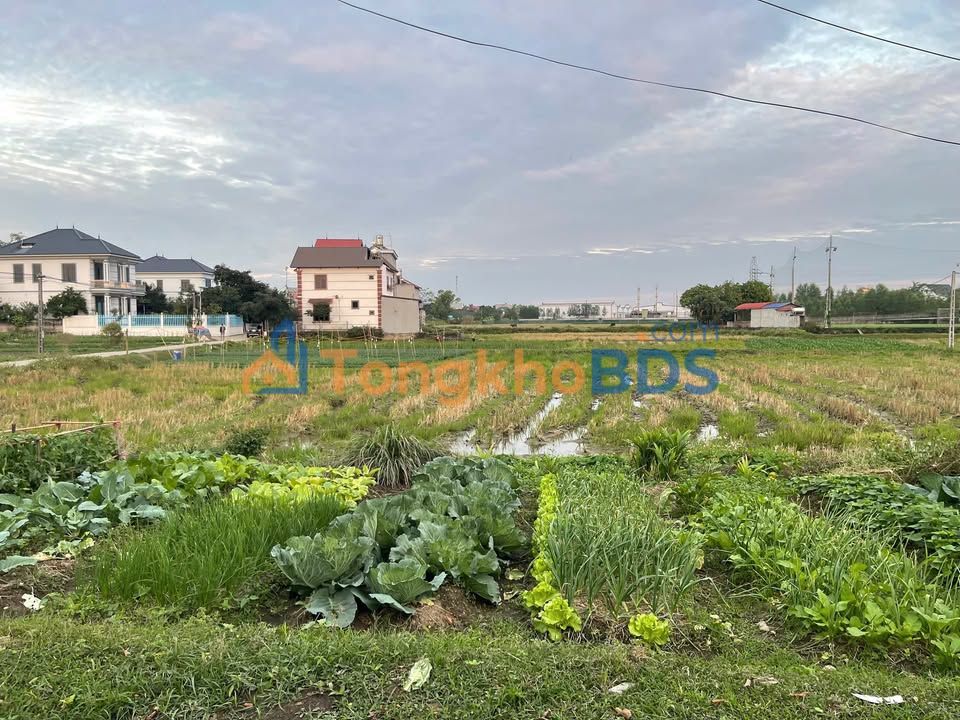 Bán Đất Thắng Hiệp Hòa, Bắc Giang 125m² - View Đồng Thoáng Đãng