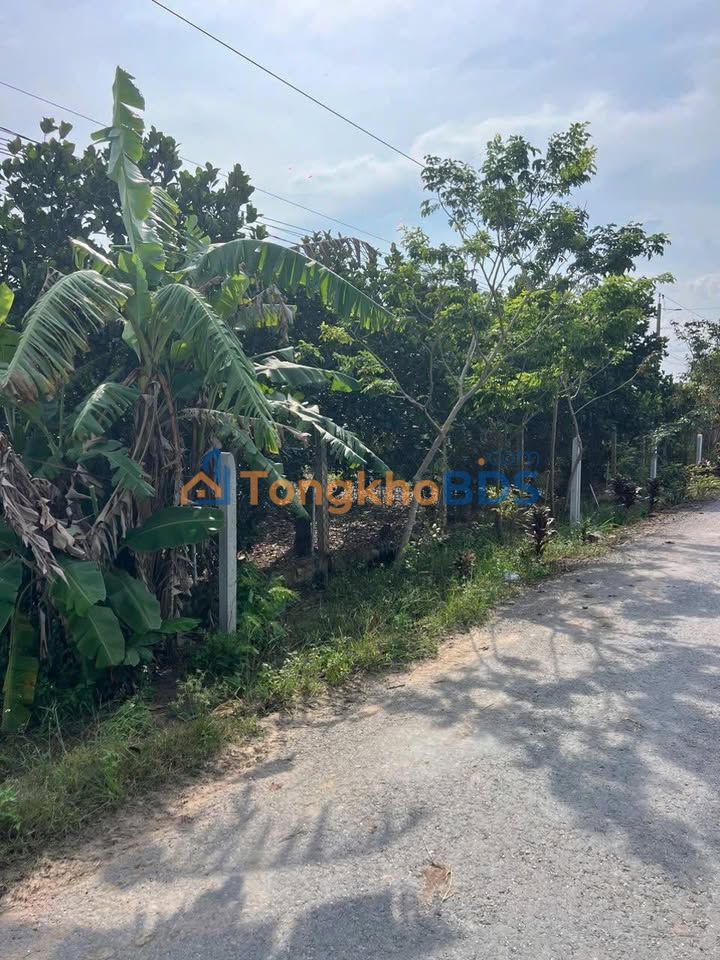 Đất nền Ấp Tân Thanh Tân Phú Tây Ninh 375m² 400 triệu - Sổ hồng sẵn