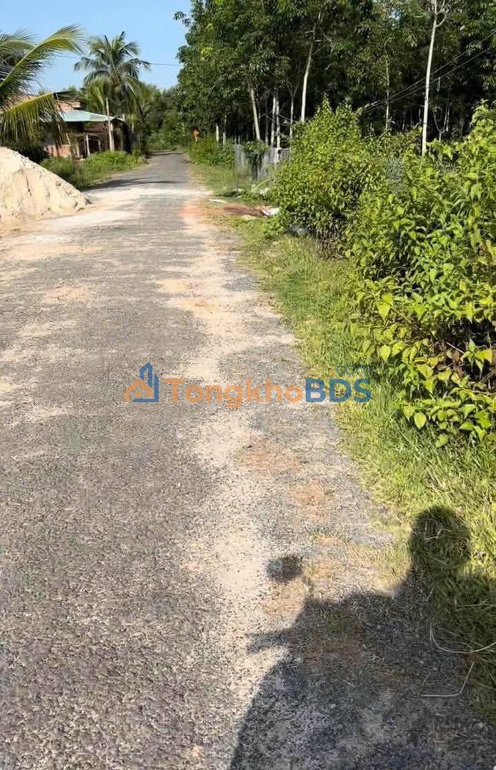 Bán Gấp Đất MT Đường Nhựa Tân Biên, Tây Ninh - 450m² Chỉ 666 Triệu