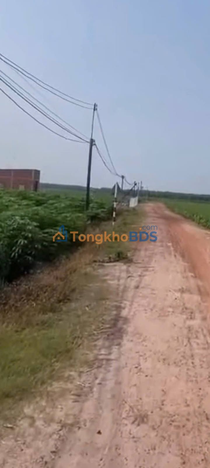 Đất nền Tân Hội Tân Châu 1300m² 280 triệu - Sổ đỏ chính chủ