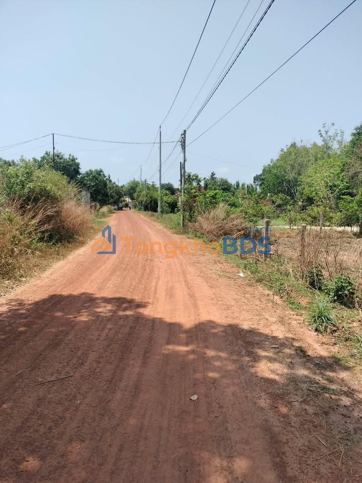 Bán Gấp Đất Vườn Nghỉ Dưỡng 9000m² Mặt Tiền 52m, TP Tây Ninh - 2.5 Tỷ