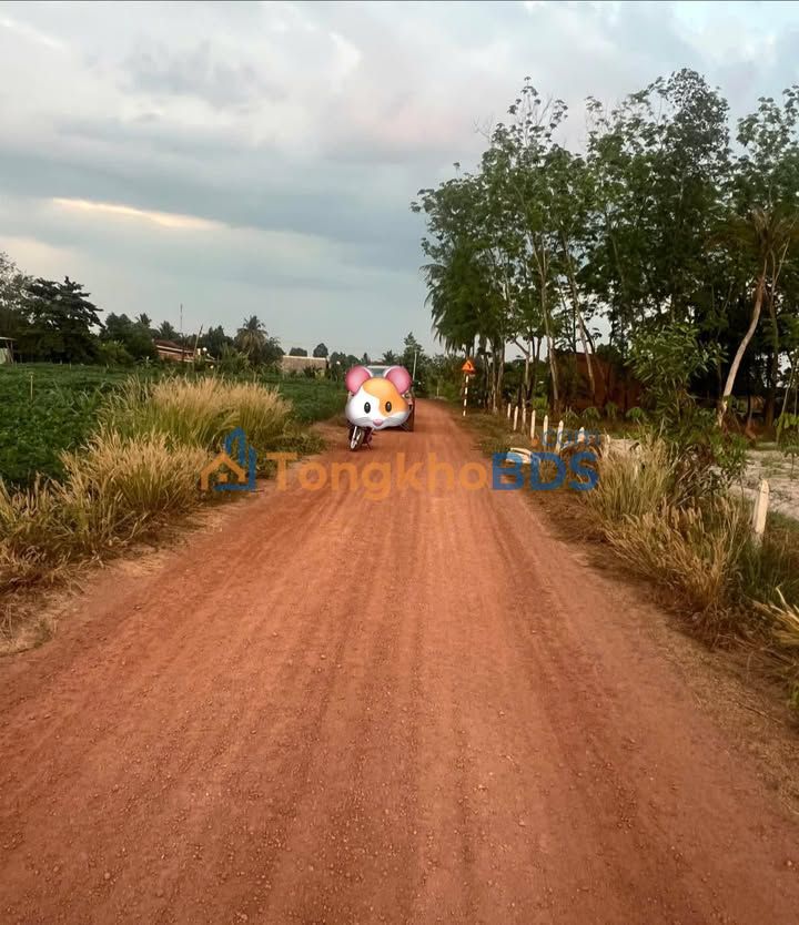 Đất Nền Dương Minh Châu 1000m² - View Núi, Giá Đầu Tư 1 Tỷ