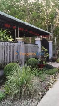 Bán Đất MT Đường Bê Tông Tân Châu, Tây Ninh - 255m² Giá 315 Triệu