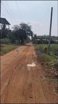 Bán Đất Vườn 555m² Mặt Tiền Tân Châu, Tây Ninh - Giá Đầu Tư 27.7 Tỷ