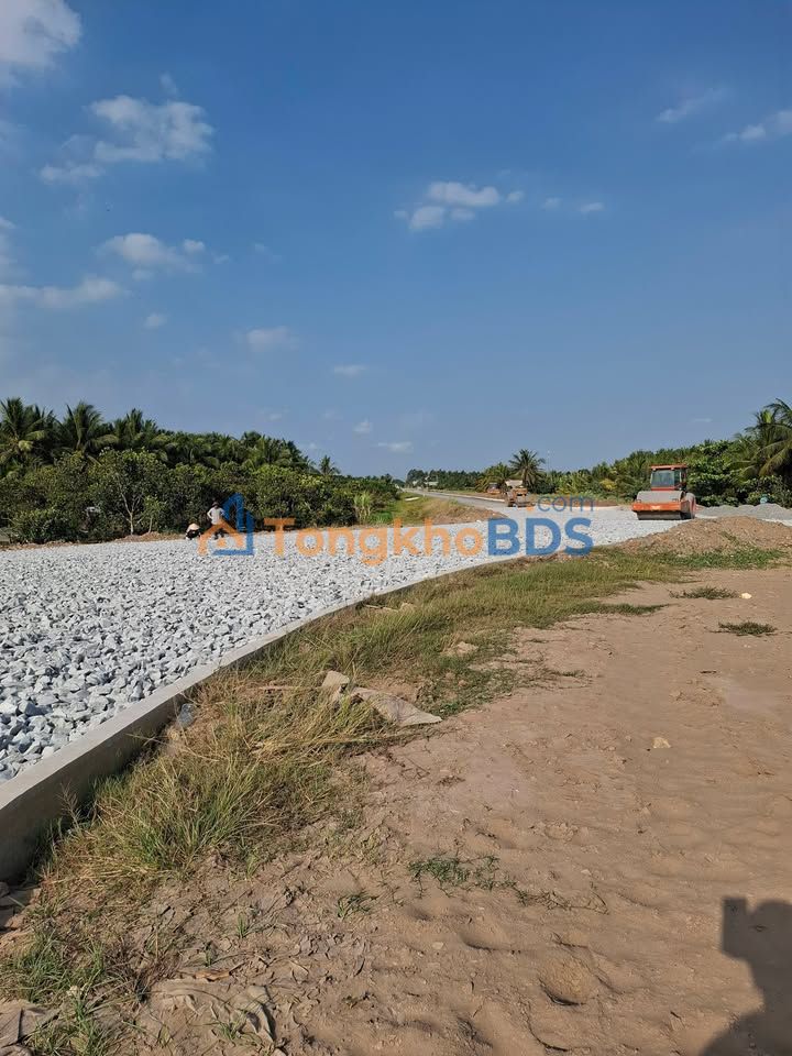 Cần bán 4851.4m2 đất trồng dừa Trung Thành Vĩnh Long - Giá 3.88 tỷ ô tô vào tận nơi thật