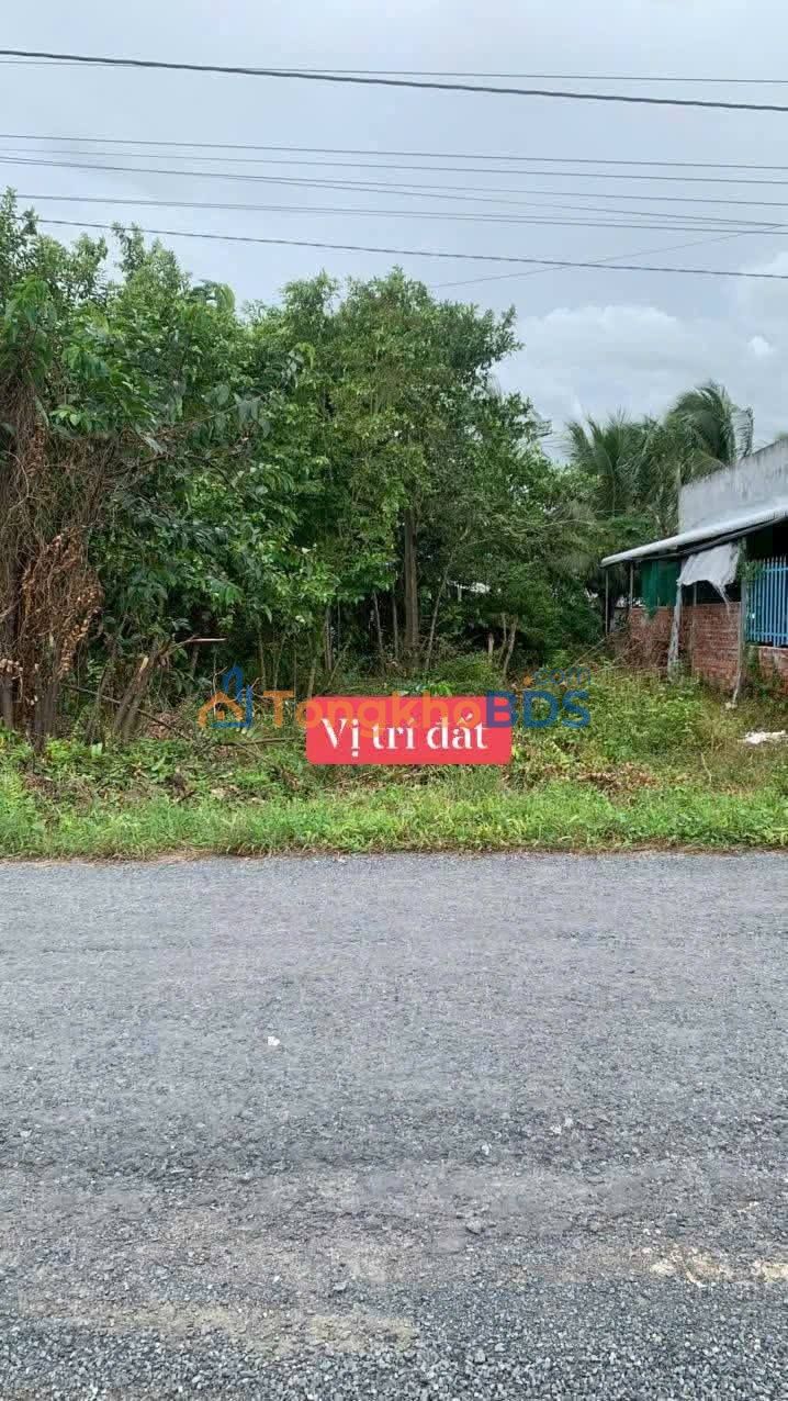 Đất Nền Tam Bình Vĩnh Long - 223m² Mặt Tiền Nhựa 19m, Gần Chợ Long Hiệp