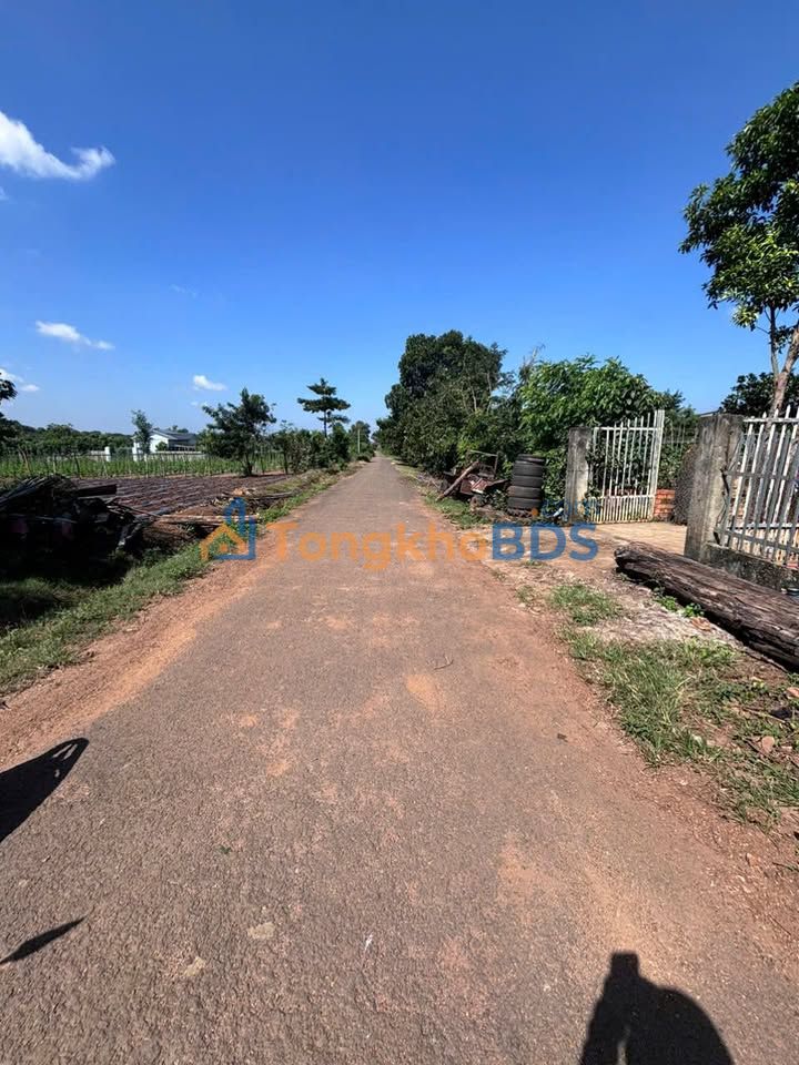 Đất nền Thôn 8 Cưêbur 270m² 850tr - Sổ đỏ chính chủ