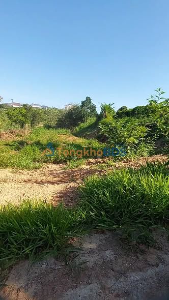 Đất Nền Nam Ban 1179m² - Mặt Tiền Bê Tông 30m - Giá 2 Tỷ TL