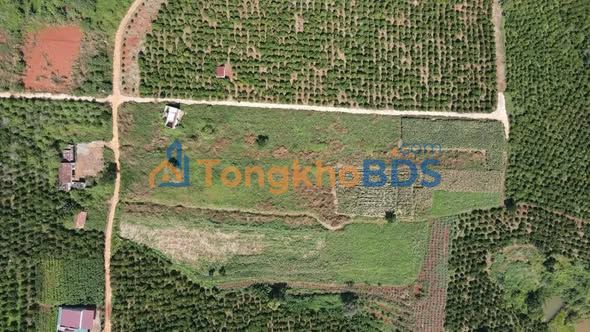 Đất Nền 14720m² Lâm Hà - Sổ Hồng Chính Chủ, 2 Mặt Tiền