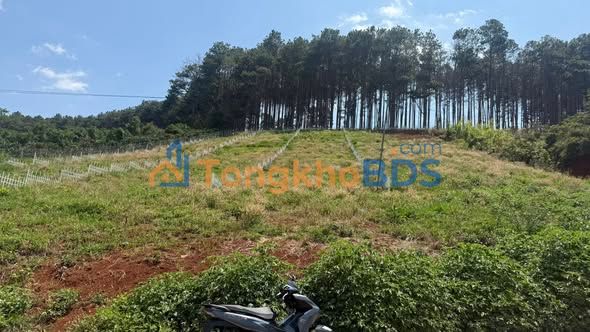 Đất Nền Xã Mê Linh, Lâm Hà - 400m² Thổ Cư Giá 1.1 Tỷ